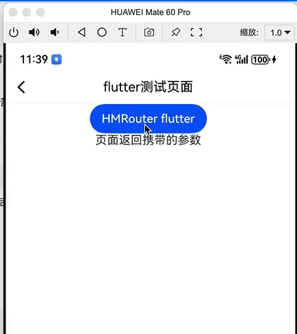 flutter_to_native.gif